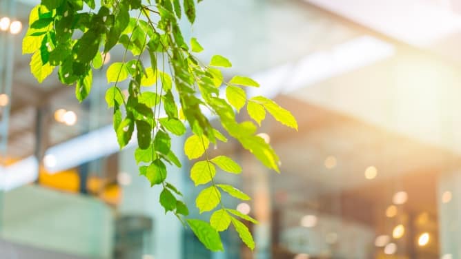 img_breeam-green-building